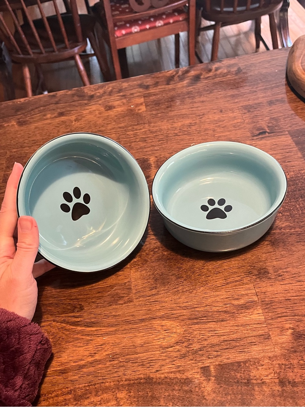 Set of Blue Ceramic Dog Dishes - Never Used